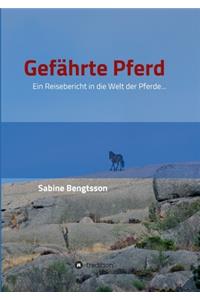 Gefährte Pferd