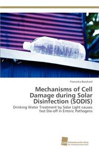 Mechanisms of Cell Damage during Solar Disinfection (SODIS)