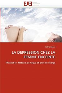 Depression Chez La Femme Enceinte