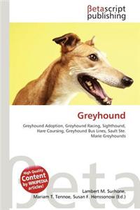 Greyhound