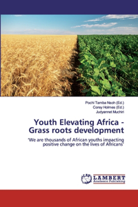 Youth Elevating Africa - Grass roots development