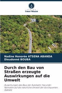 Durch den Bau von Straßen erzeugte Auswirkungen auf die Umwelt