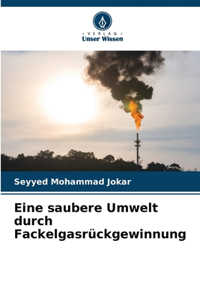 Eine saubere Umwelt durch Fackelgasrückgewinnung