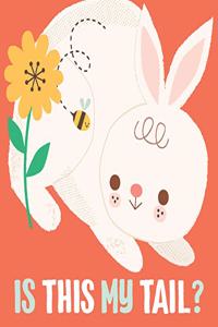 IS THIS MY TAIL RABBIT