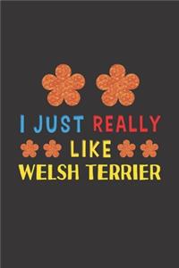 I Just Really Like Welsh Terrier