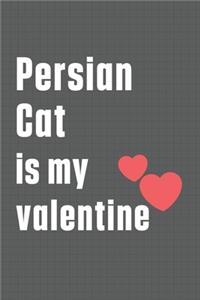 Persian Cat is my valentine