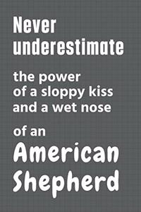 Never underestimate the power of a sloppy kiss and a wet nose of an American Shepherd