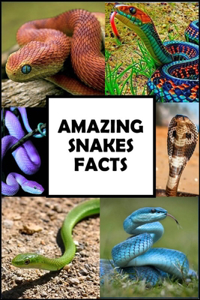 Amazing Snakes Facts