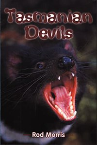 Tasmanian Devils: Action-packed guided reading for year 4. (Skyracer Blue)