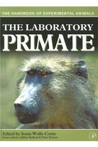 Laboratory Primate