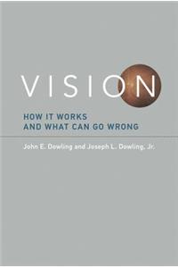 Vision: How It Works and What Can Go Wrong