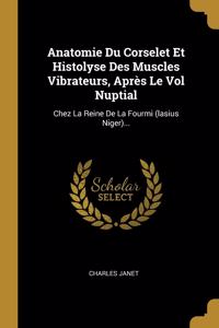 Anatomie Du Corselet Et Histolyse Des Muscles Vibrateurs, Après Le Vol Nuptial