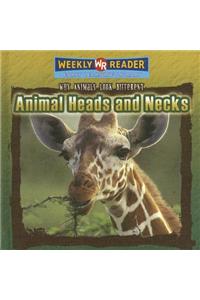 Animal Heads and Necks