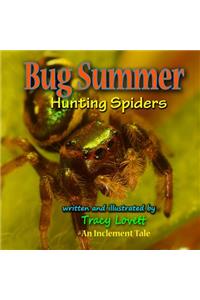 Bug Summer--Hunting Spiders