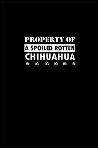 Property of A Spoiled Rotten Chihuahua