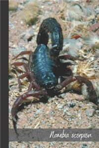 namibia scorpion