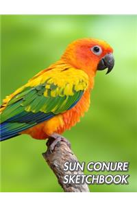 Sun Conure Sketchbook: Sun Parakeet - Aratinga solstitialis - Unlined Notebook 150 Blank Pages 8.5 x 11 in.- Sketchbook - Multi-Purpose - Unruled Journal - Plain Diary - A