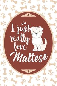 I Just Really Love Maltese