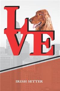 Irish Setter