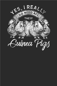 Yes I Really Do Need All These Guinea Pigs