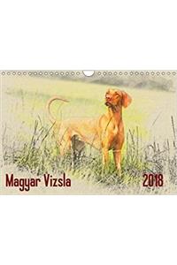 Magyar Vizsla 2018 / UK-Version 2018