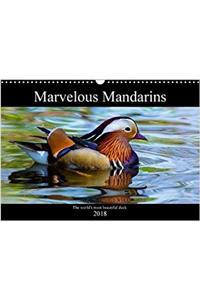 Marvellous Mandarins 2018