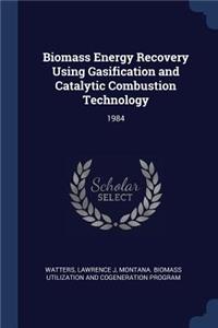 Biomass Energy Recovery Using Gasification and Catalytic Combustion Technology