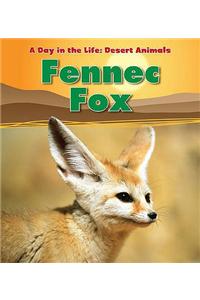 Fennec Fox