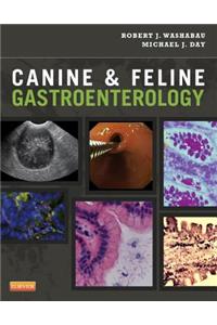 Canine & Feline Gastroenterology
