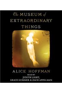 The Museum of Extraordinary Things