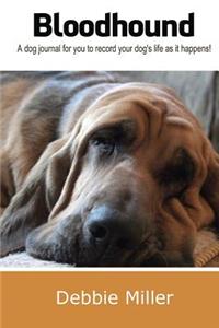Bloodhound