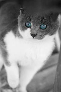 Mind Blowing Cat Journal