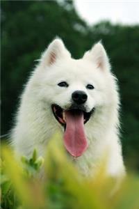 The Samoyed Dog Journal