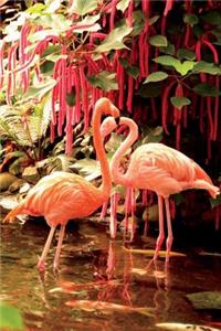 Pink Flamingos Journal