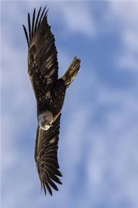 Fly Like an Eagle Journal