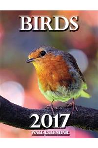 Birds 2017 Wall Calendar (UK Edition)