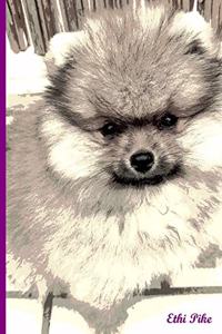Ethi Pike - Notebook / Extended Lines / Dwarf Spitz Puppy