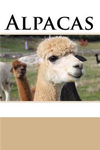 Alpacas (Journal / Notebook)