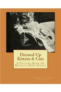 Dressed Up Kittens & Cats