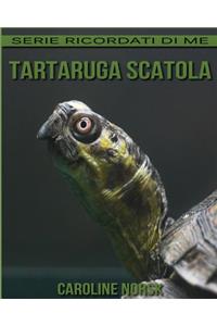 Tartaruga Scatola