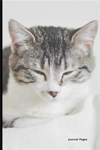 Journal Pages - Dream Kitty