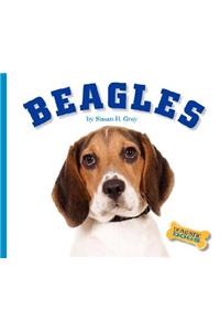 Beagles