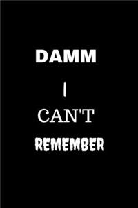 Damm I Can't Remember