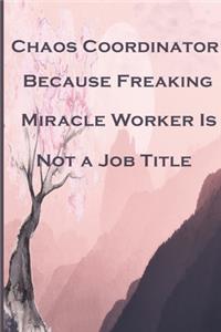Chaos Coordinator Because Freaking Miracle Worker Is Not a Job Title