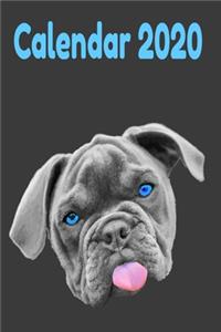 Bulldog Calendar 2020: Dog Calendar 2020 for Fans of French Bulldogs. 120 pages, yearly, monthly and weekly summit wiht even space for notes