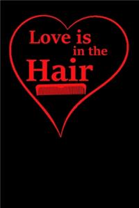 Love is in the Hair