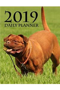 2019 Daily Planner