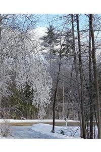 School Composition Book Winter Ice Storm Birch Tree Snow Covered 130 Pages