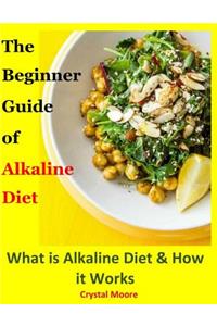 The Beginner Guide of Alkaline Diet: What Is Alkaline Diet and How It Works