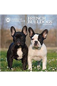 French Bulldogs American Kennel Club 2018 Wall Calendar